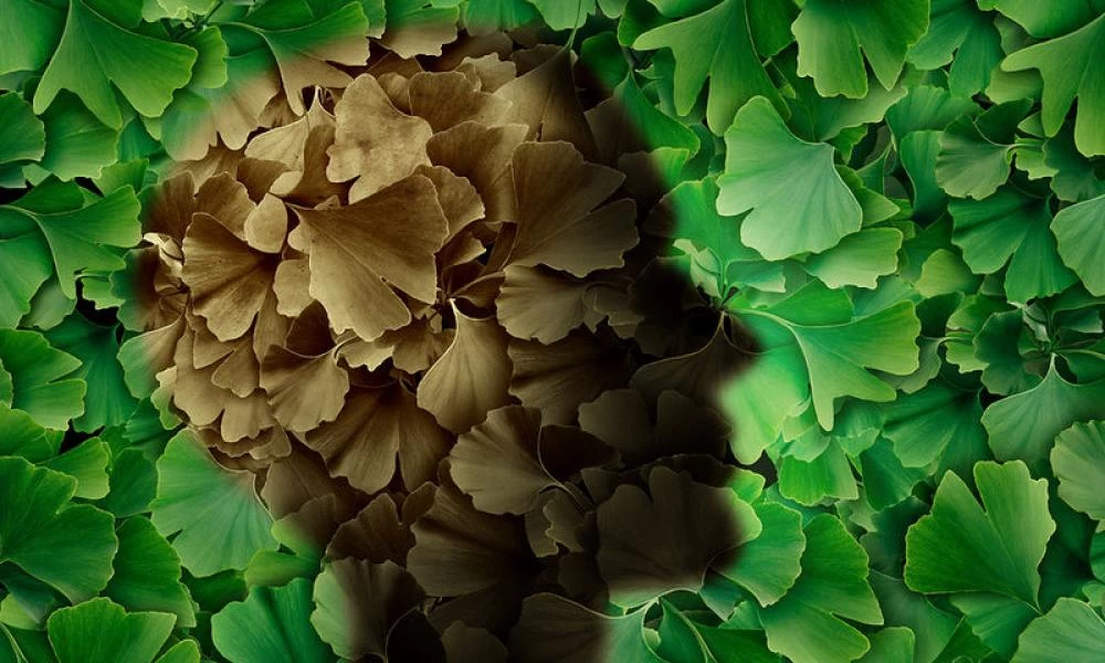 Ποιες τροφές θα σε προστατεύουν από την νόσο Αλτσχάιμερ